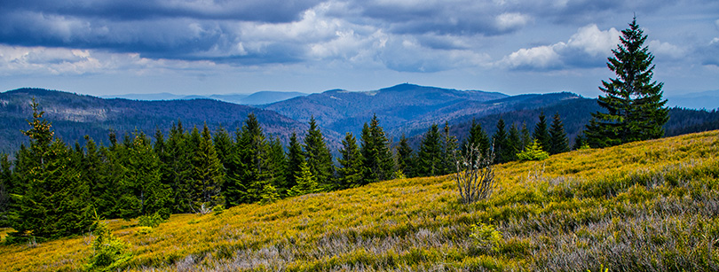 Widok z Przehyby - trasy i wycieczki rowerowe - Beskid Sądecki - www.rowerempogorach.pl Przehyba, Beskid Sądecki - www.rowerempogorach.pl