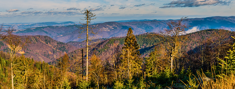 Widok z Wielkiego Rogacza - Beskid Sądecki na rowerze - www.rowerempogorach.pl Wielki Rogacz, Beskid Sądecki - www.rowerempogorach.pl