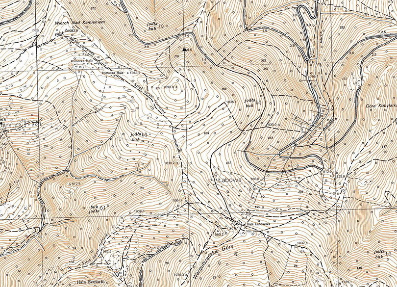 Mapa topograficzna topo Polska 1:10000 do GPS, mapa rastrowa