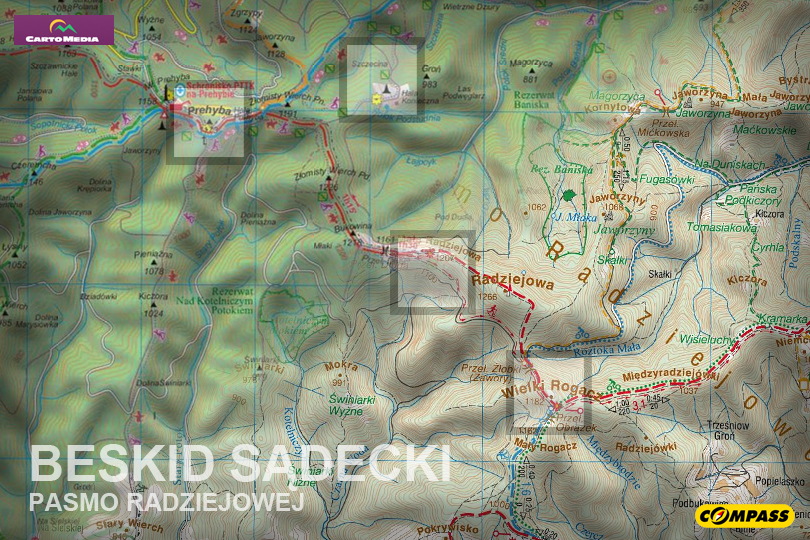 Beskid Sądecki - Pasmo Radziejowej