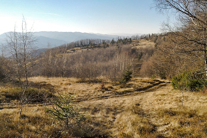 Po halach Beskidu Sdeckiego na rowerze - Zadnie Gry