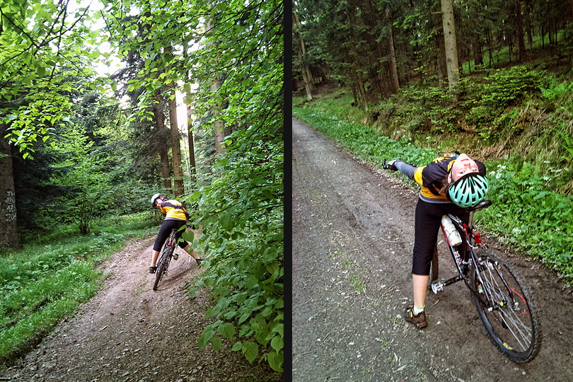 przez Las Chemecki i Paci Gr na rowerze Las Chemecki - trasy rowerowe