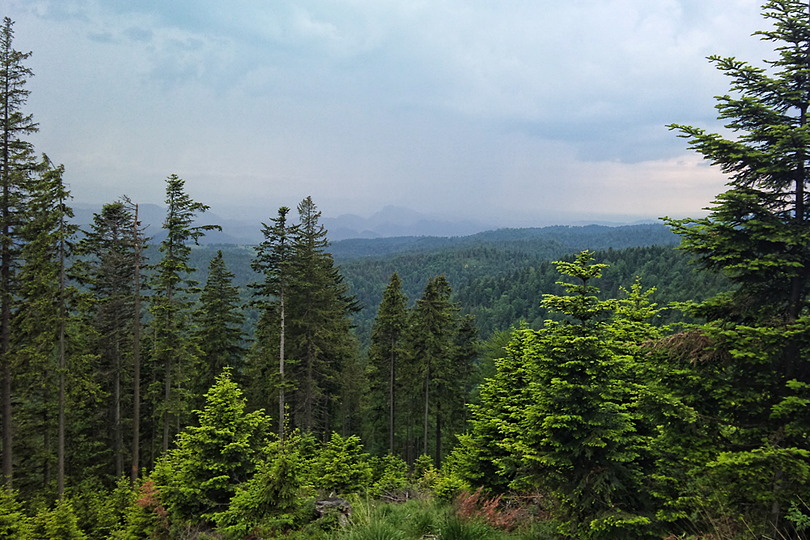 widok z Przeczy Dugiej w oddali Pieniny Przecz Duga