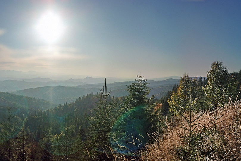 Panorama z Wielkiego Rogacza Wielki Rogacz - Beskid Sądecki na rowerze