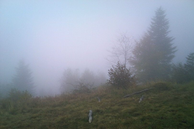 Mgła - Pasmo Łososińskie