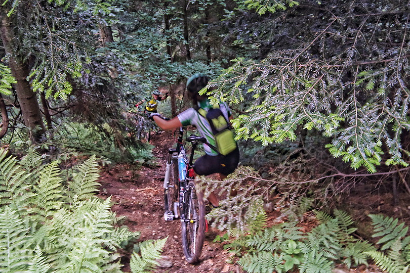 Downhill, albo spad swobodny z Tokarni zjazd z Tokarni na rowerze