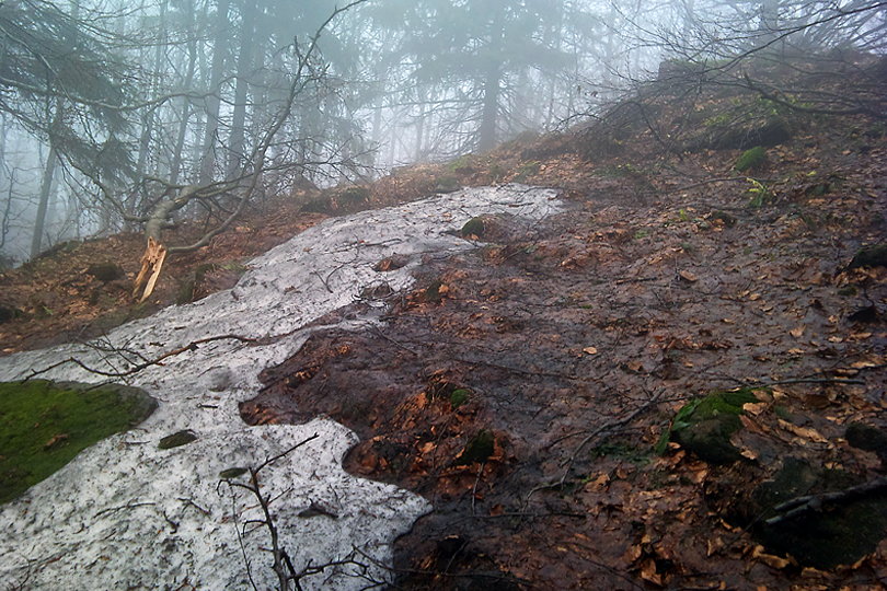 poniej Czarciego Wierchu wycieczki rowerowe Czarci Wierch i Diabelski Kamie - Beskid Sdecki