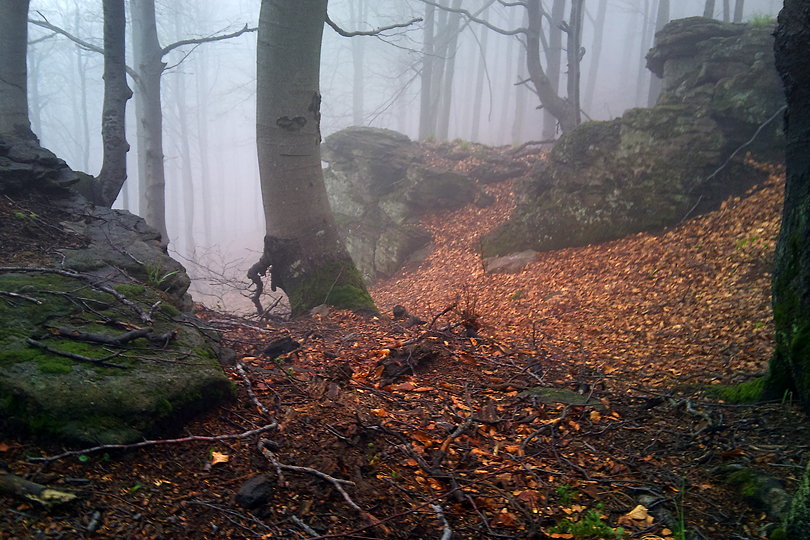 okolice Czarciego Kamienia w Beskidzie Sdeckim Skadziszczaska Skaa - Beskid Sdecki na rowerze