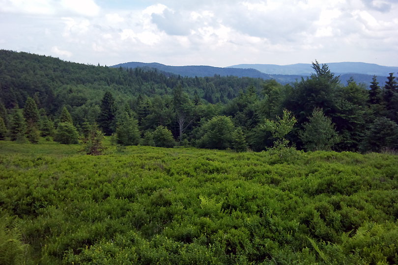 Makowica i Gboki Jar na rowerze MTB - www.rowerempogorach.pl jedziemy na Makowic i Gboki Jar