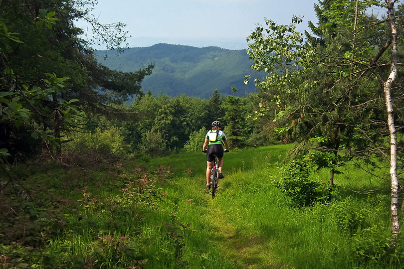trasa rowerowa Makowica i Gboki Jar - www.rowerempogorach.pl Makowica i Gboki Jar - teraz opuszczamy czerwony szlak beskidzki i jedziemy niebieskim