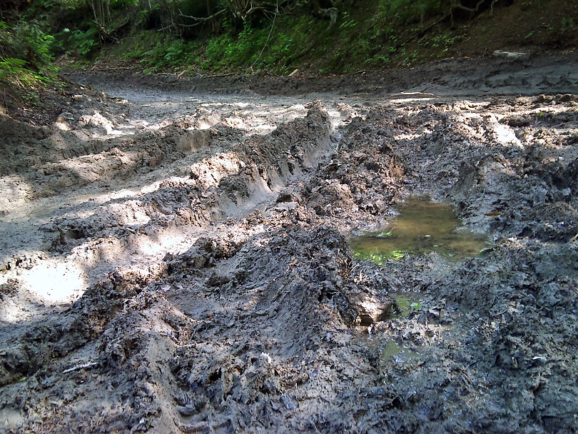 Makowica i Gboki Jar - MTB wracamy z Makowicy przez Gboki Jar w niezym bocie