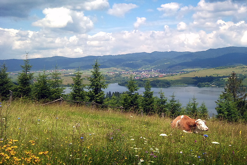 rowerem przez Pieniny Spiskie z Niedzicy - widok na J.Czorsztyskie ze wzgrza Tabor z Niedzicy czerwonym szlakiem na
Tabor