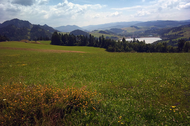 czerwonym szlakiem na Ciswk w Pieninach Spiskich Niedzica i Pieniny Spiskie na rowerze MTB - www.rowerempogorach.pl