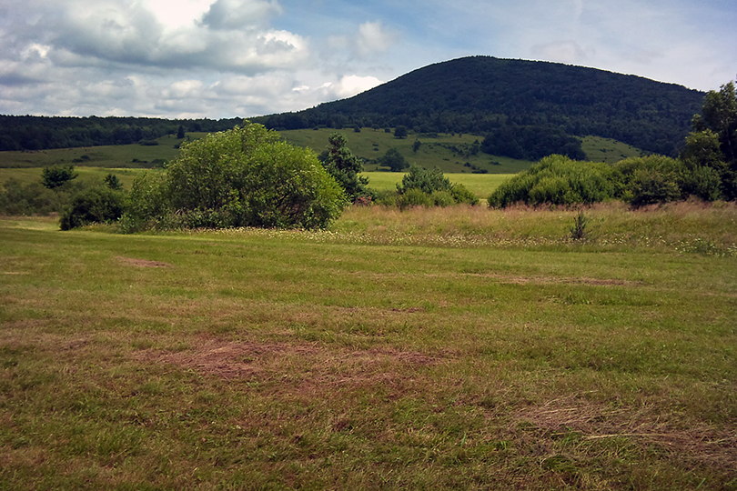 po prawej stronie roztacza się widok na Javorine wycieczka rowerowa - w Góry Hańczowskie i Pasmo Graniczne - Beskid Niski