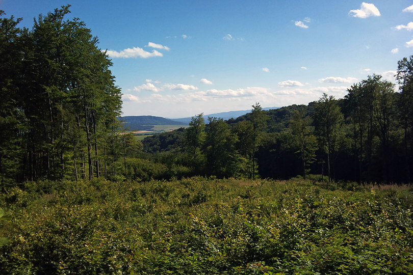 szlak graniczny Beskid Niski szlakiem granicznym od Przeł. pod Zajęczym Wierchem do Przeł. Beskid nad Ożenną na rowerze