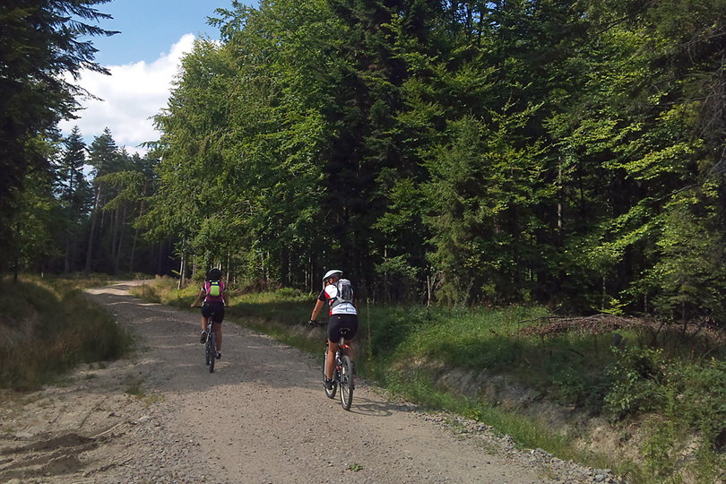 szeroka droga lena przez Las Kunkowski - okolice Zalewu Klimkwka - 
						Beskid Niski na rowerze