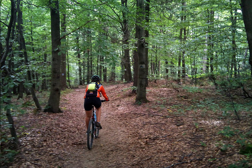 trasa rowerowa Beskid Niski - Magura Maastowska