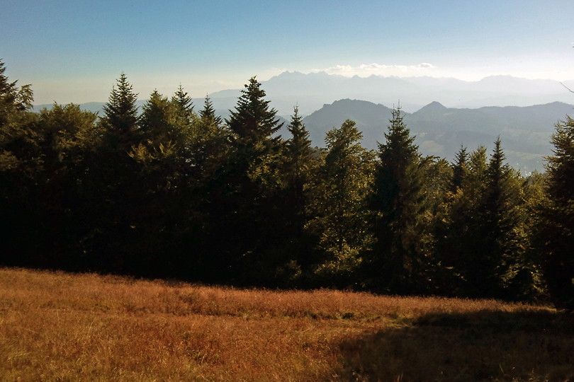 rowerem na Dzwonkwk - Beskid Sdecki