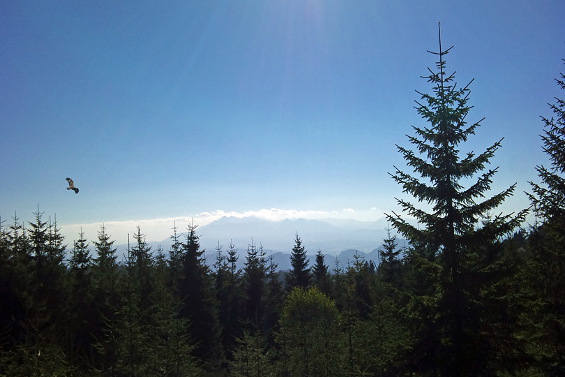 jesteśmy na Przehybie rowerem przez Beskid Sądecki - Przehyba, Dzwonkówka i Błyszcz