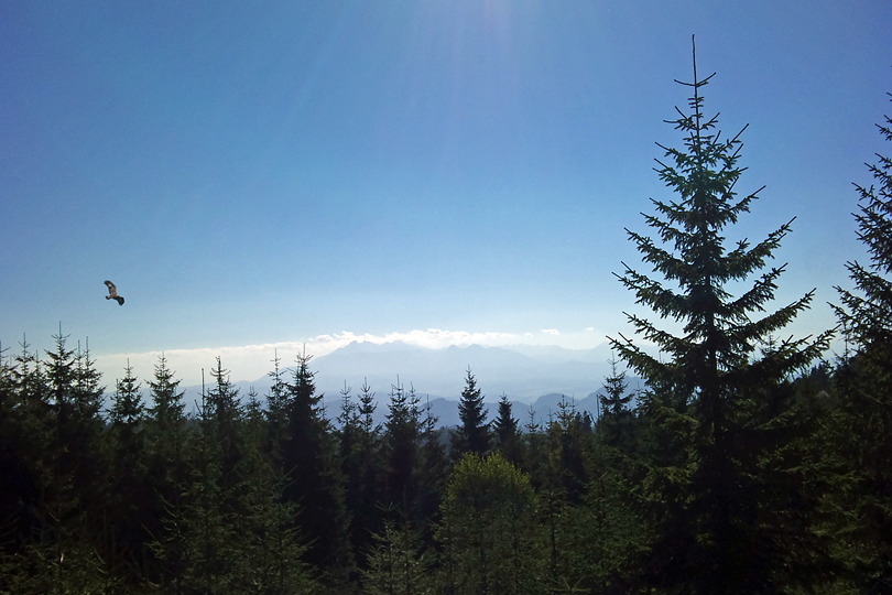 rowerem przez Beskid Sdecki - Przehyba, Dzwonkwka i Byszcz