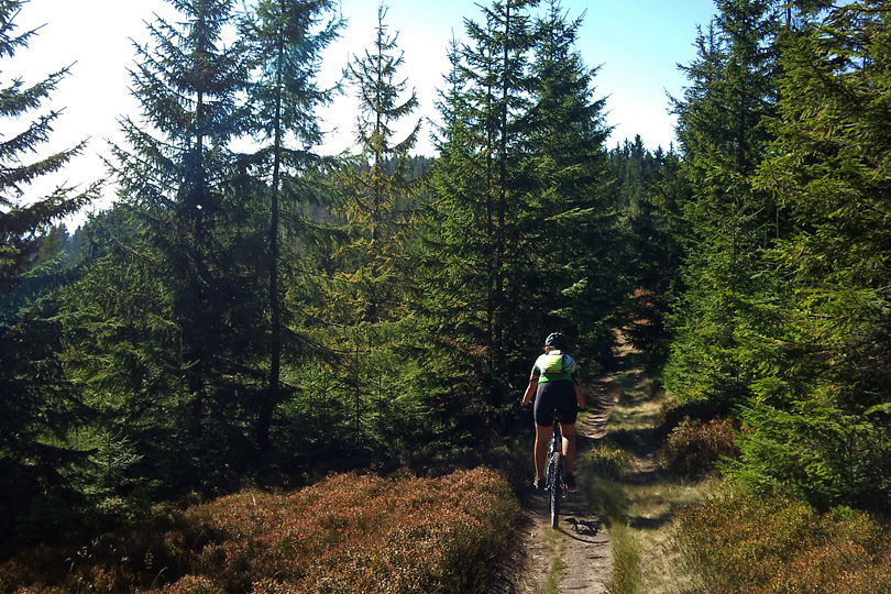 czerwony szlak pieszy z Przehyby przez Skałkę wycieczka rowerowa - w Beskid Sądecki - Dzwonkówka, Błyszcz i Koziarz na rowerze MTB - www.rowerempogorach.pl