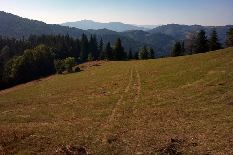 tuż przed przełęczą Przysłop na rowerze przez Beskid Sądecki w kierunku Dzwonkówki