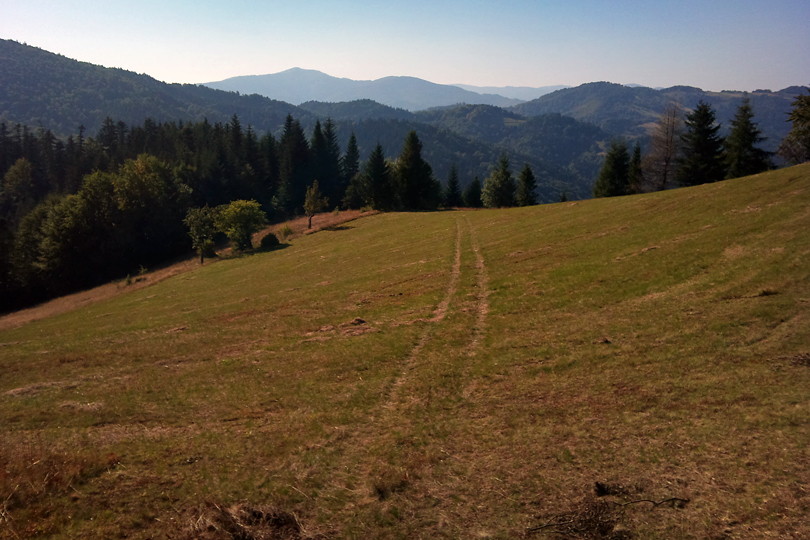 na rowerze przez Beskid Sdecki w kierunku Dzwonkwki