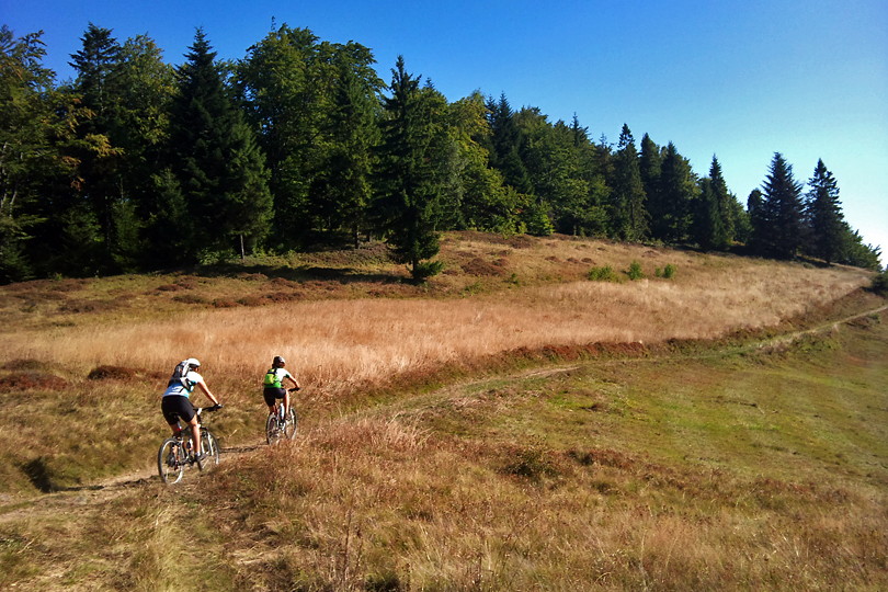 rowerem przez Dzwonkwk, Byszcz i Koziarz - Beskid Sdecki