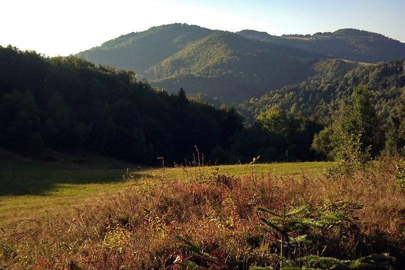 znowu podziwiamy beskidzkie widoczki trasa rowerowa Beskid Sądecki - Dzwonkówka