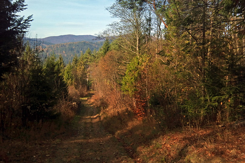niebieski szlak z Powronika rowerem przez Beskid Niski - Dubne, Barwinek i Pusta