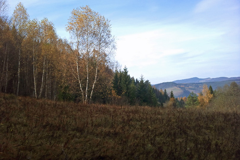 rzut oka w kierunku pasma Jaworzyny Krynickiej w Beskidzie Sdeckim wycieczka rowerowa - w Beskid Niski - Dubne, Barwinek i Pusta