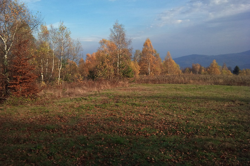 rowerem na Kralov Studne i Pust - Beskid Niski