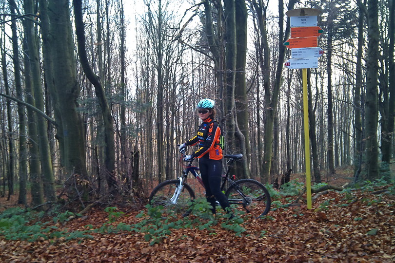 Pusta zdobyta trasa rowerowa Beskid Niski - Pusta