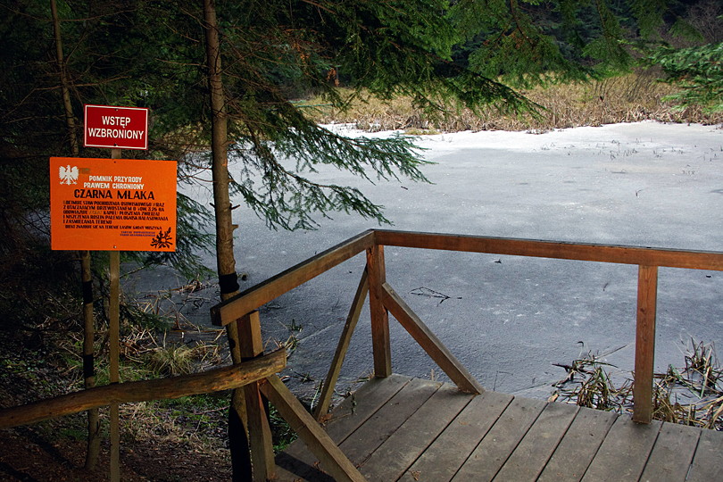 Pomnik przyrody Czarna Maka wycieczka rowerowa - w Beskid Sdecki - Jezioro Czarna Maka na rowerze MTB - www.rowerempogorach.pl