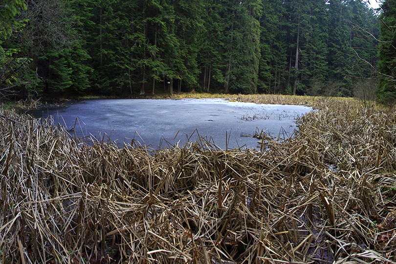 osobliwoprzyrody - jeziorko Czarna Maka w caej okazaoci, troch zamarznite :-) wycieczka rowerowa - w Beskid Sdecki - Jezioro Czarna Maka