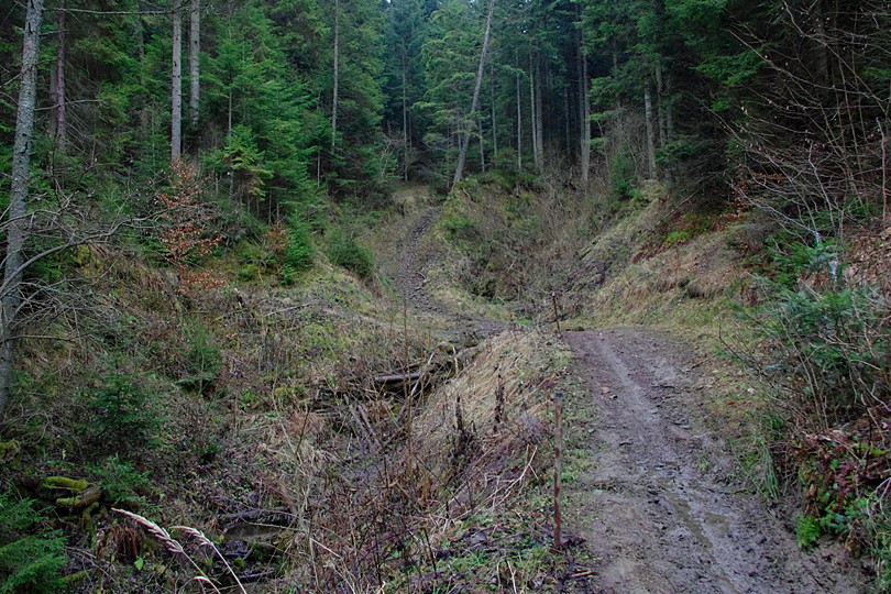 czarny szlak pieszy, ktrym z Czrnej Maki jedziemy do gwnej drogi nr 971 rowerem przez Beskid Sdecki, Czarna Maka i Mofety
