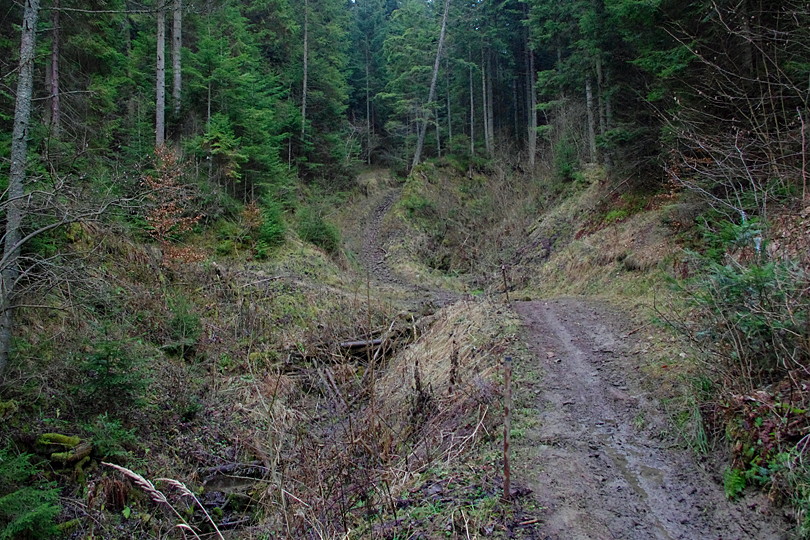 rowerem przez Beskid Sdecki, Czarna Maka i Mofety