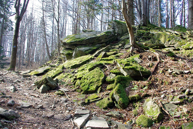 Dziabli Garnek - czyli Rezerwat przyrody Wietrzne Dziury wycieczka rowerowa z Rytra w Beskid Sdecki