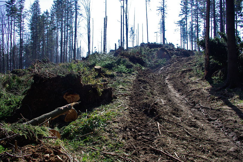 docieramy do Przechyby Wielkiej, szlak rozkopany przez suby lene na rowerze przez Pasmo Radziejowej i rezerwat Wietrzne Dziury