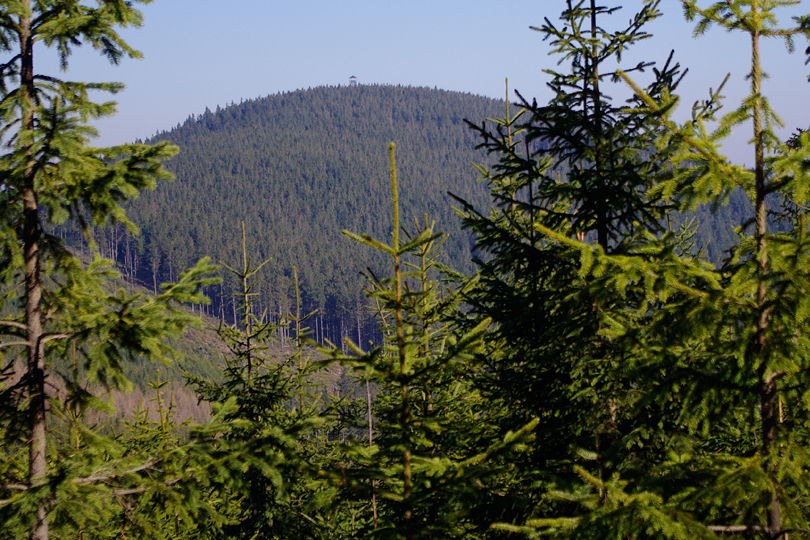 wracamy na szlak i jedziemy w kierunku Radziejowej Beskid Sdecki na rowerze grskim