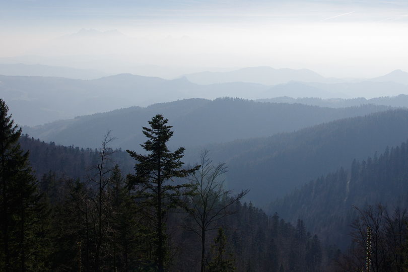 odsonite grzbiety grskie dostarczaj szerokich, panoramicznych widokw na rowerze przez Beskid Sdecki - trasa MTB