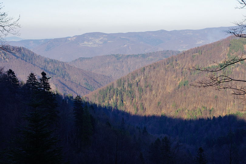 widok z Przeczy obki rowerem przez lasy Beskidu Sdeckiego