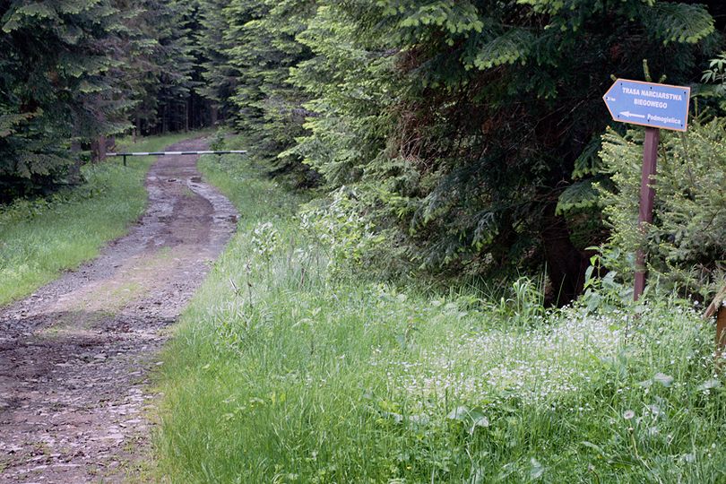 na pocztek krtki odcinek tras narciarstwa biegowego rowerem przez Beskid Wyspowy