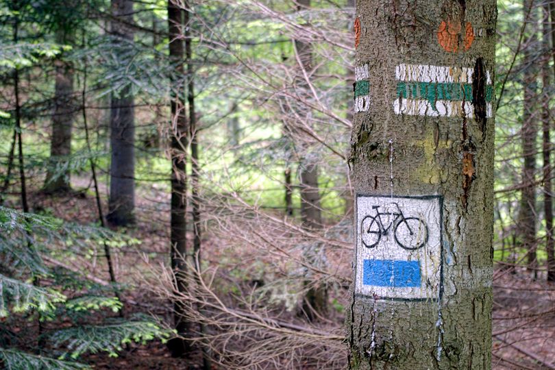 zielonym szlakiem pieszym i niebiesk tras rowerow wycieczka rowerowa w Beskid Wyspowy