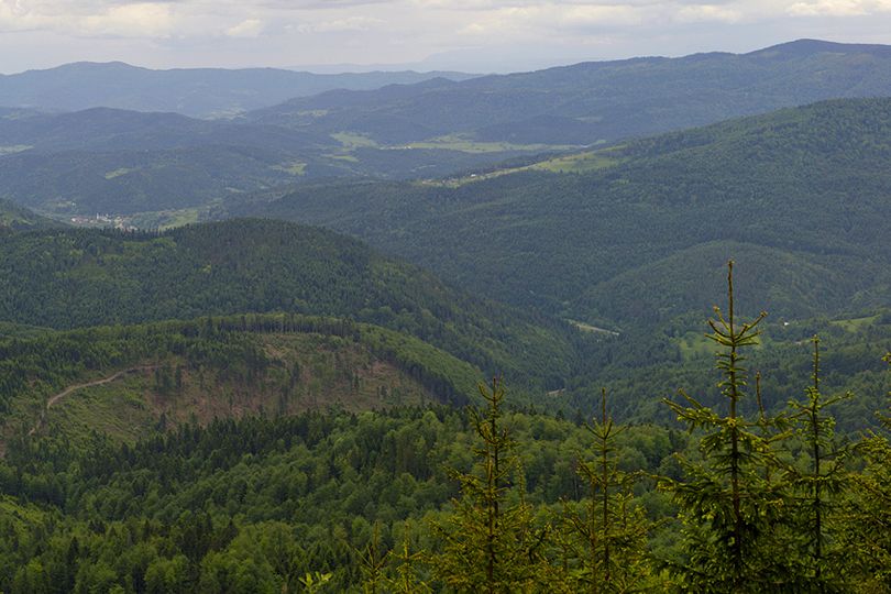 krajobraz na poudniowym wschodzie rowerem przez lasy Mogielicy