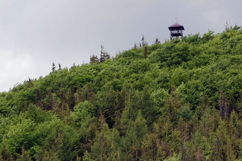 zjazd z Mogielicy rowerem przez Beskid Wyspowy na szczyt Mogielicy