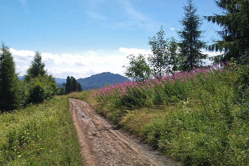 jedziemy na Jaworzyn rowerem na Luba w Gorcach