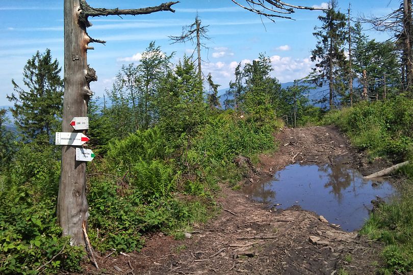 skrzyowanie traktw turystycznych trasa rowerowa na Luba w Gorcach