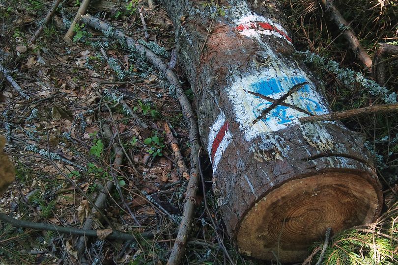 pozostaoci oznacze trasy rowerowej na rowerze zdobywamy Lubania - trasa MTB