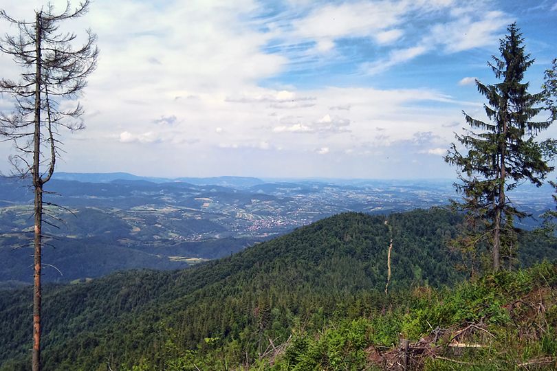 widok na pnoc ze redniego Gronia rowerem grskim na Luba